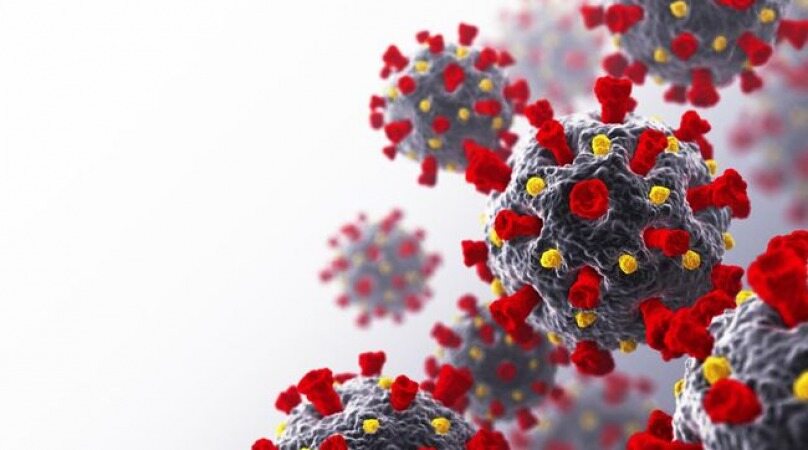 آخرین یافته های جدید محققان درمقابله با ویروس کرونا