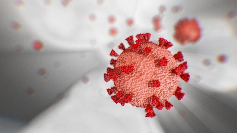 آخرین یافته های جدید محققان در مورد ویروس کرونا