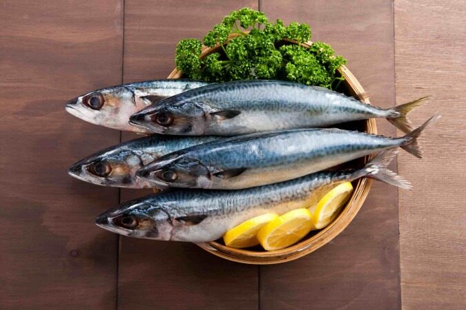 بهترین ماهی برای غذای شما کدام است؟