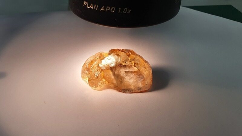 کشف جواهر منحصر به فرد با قدمت ۱۲۰ میلیون سال