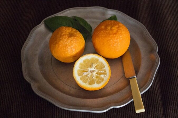بهار نارنج ،بی ضرر ترین و خوشبو ترین میوه، آن را دست کم نگیرید