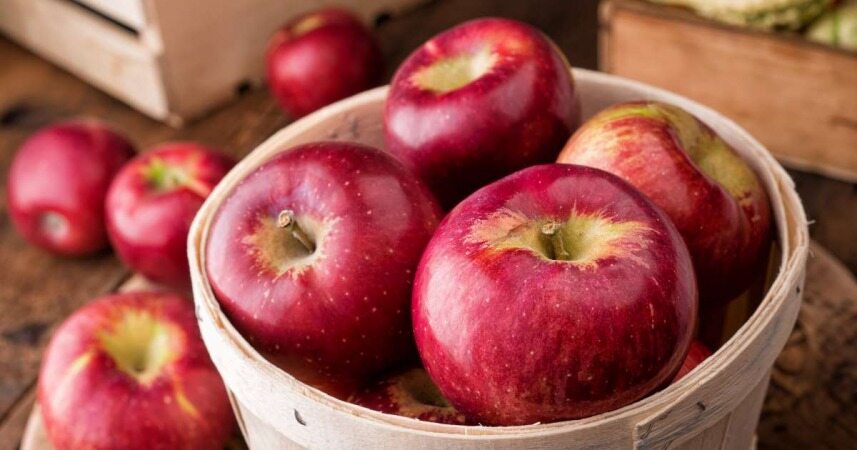 «خوردن روزانه یک سیب شما را از دکتر بی نیاز خواهد کرد» دروغ یا حقیقت؟