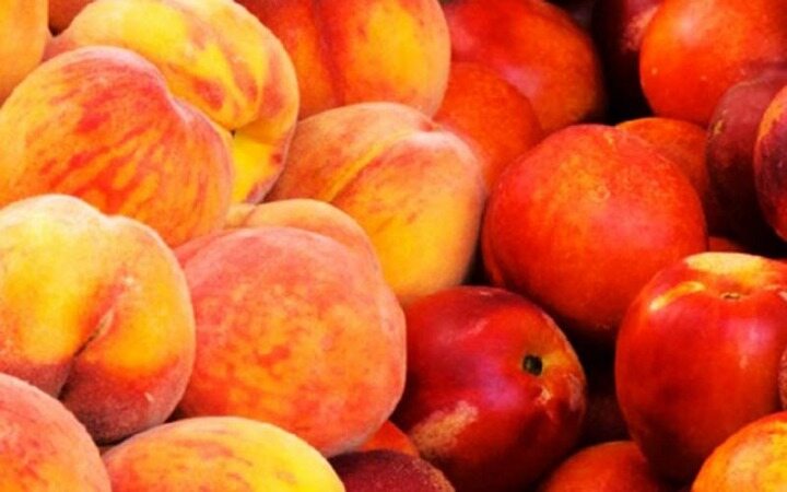 این میوه ها سلامت شما را تضمین خواهند کرد