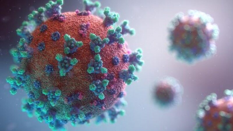 مهلک‌ترین ضربات ویروس کرونا بر حواس اصلی انسان