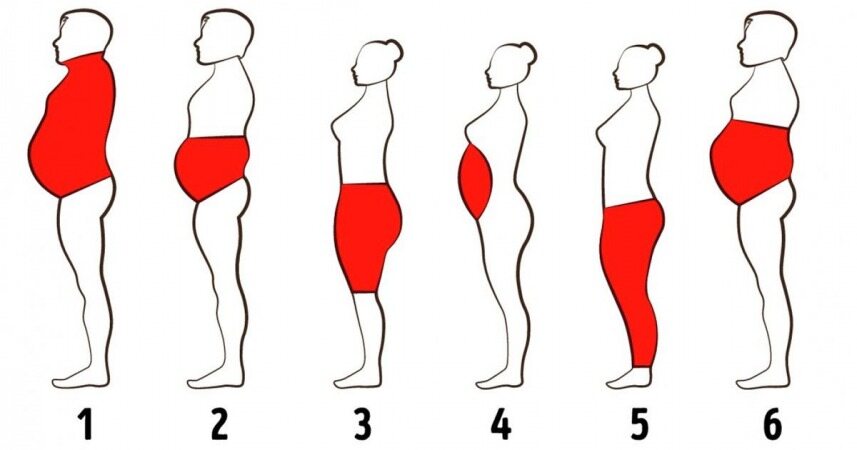 نوع چاقی خود را از روی بخش های بدن خود تشخیص دهید