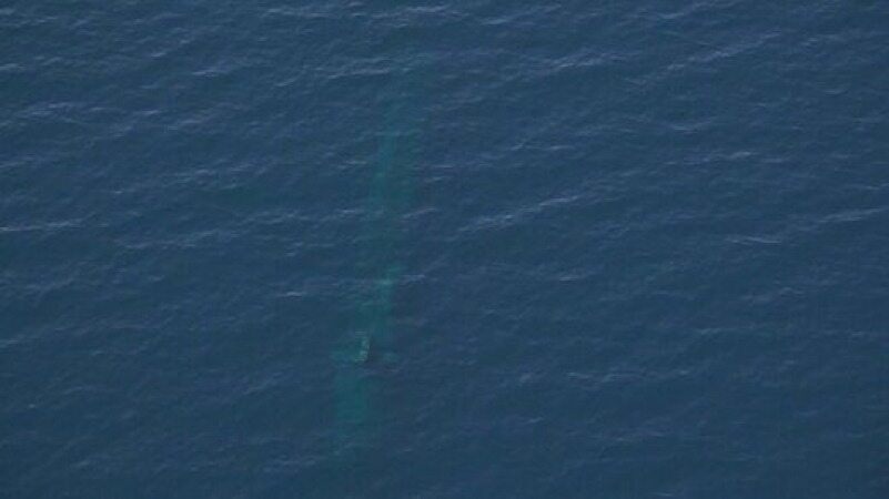 رصد یک زیردریایی بیگانه در نزدیکی رزمایش نیروی دریایی ارتش