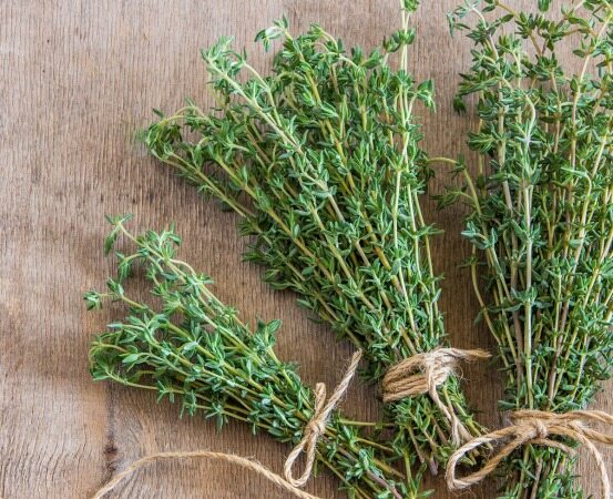 خواص معجزه آسا آویشن+طریقه مصرف