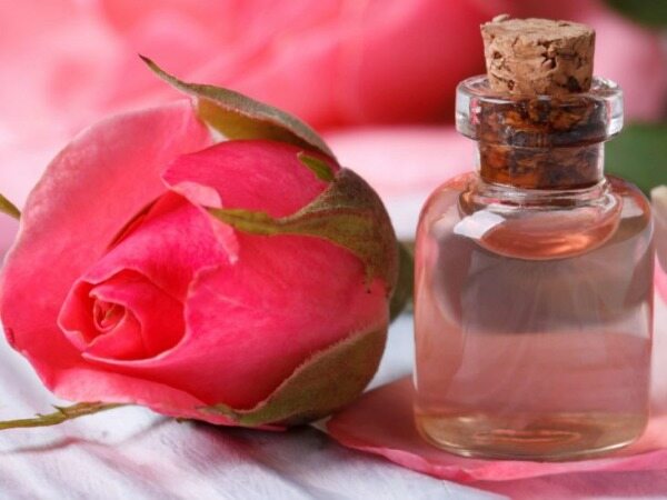 گلاب، مهم ترین راز زیبایی