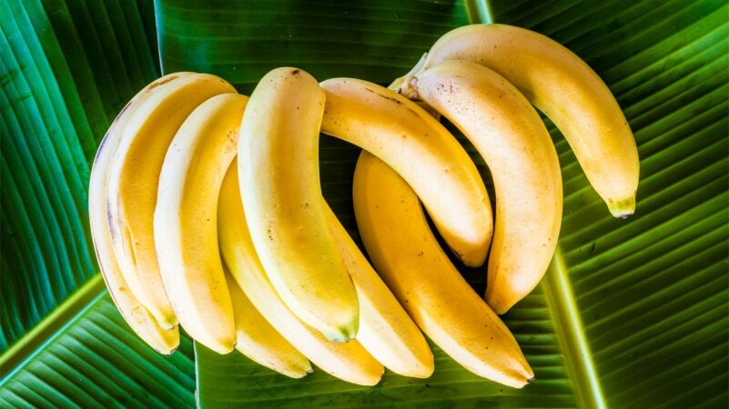 با خوردن این غذا ها توانایی انجام هرکاری را خواهید داشت