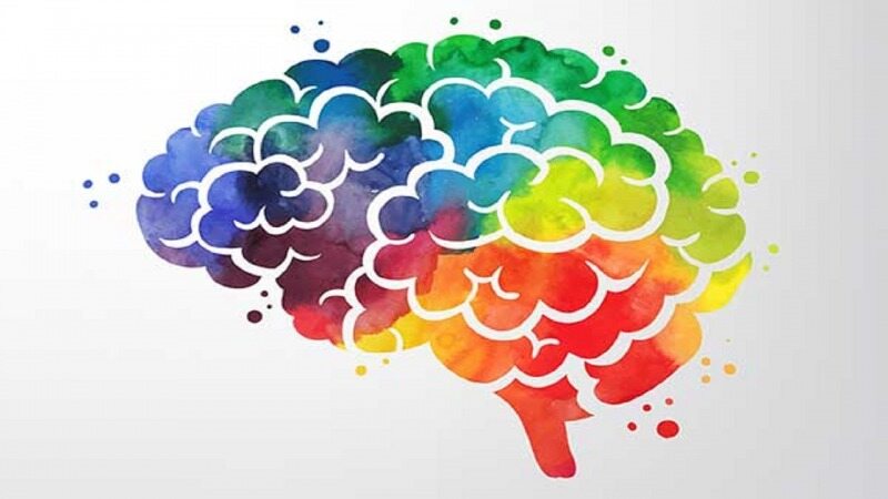 با این تست شخصیت خود را واکاوی کنید+پاسخ