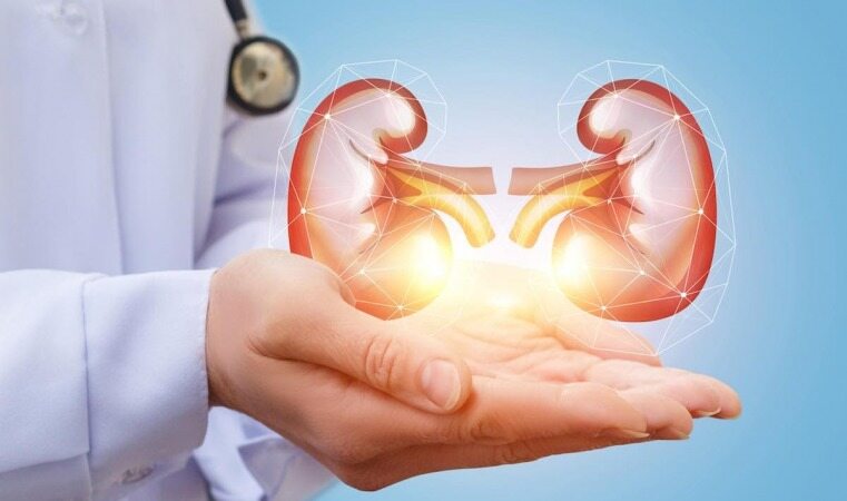 با خوردن این دمنوش ها به راحتی آب خوردن سنگ کلیه را دفع کنید