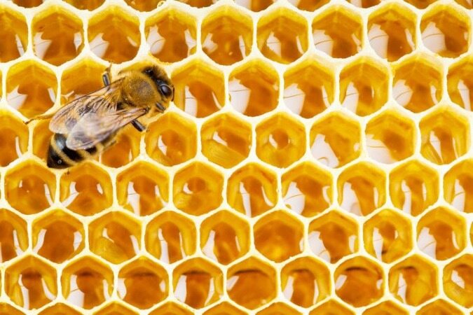 چرا موم زنبور عسل شش ضلعی است؟