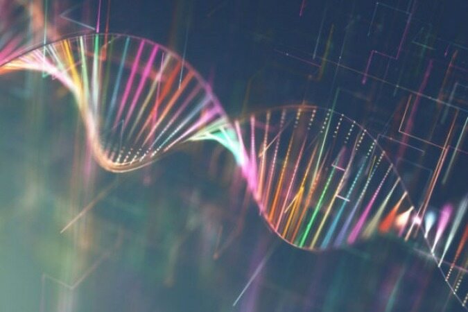  استخراج DNA از هوا برای اولین بار 