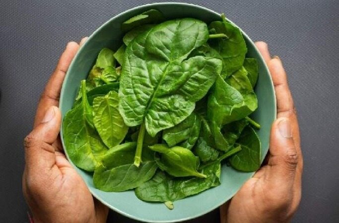تولید گوشت آزمایشگاهی از برگ‌های گیاه اسفناج 