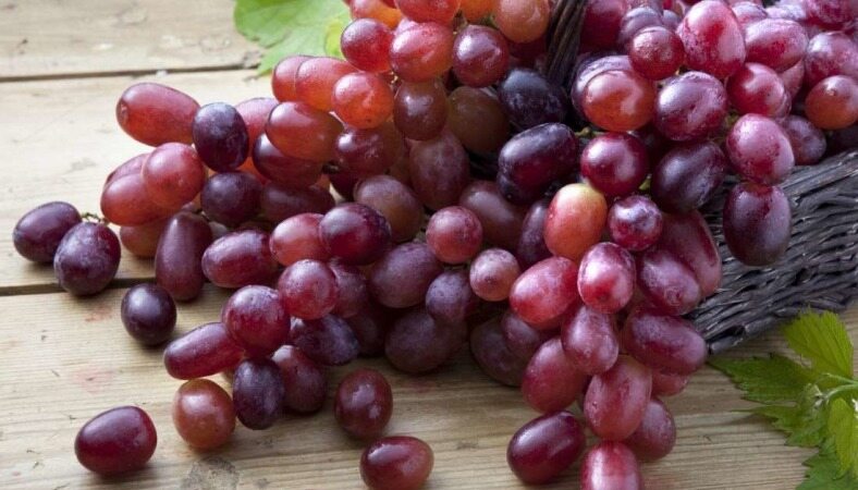 14 فایده بی نظیر انگور قرمز که شما را مجاب به خوردن آن می کند