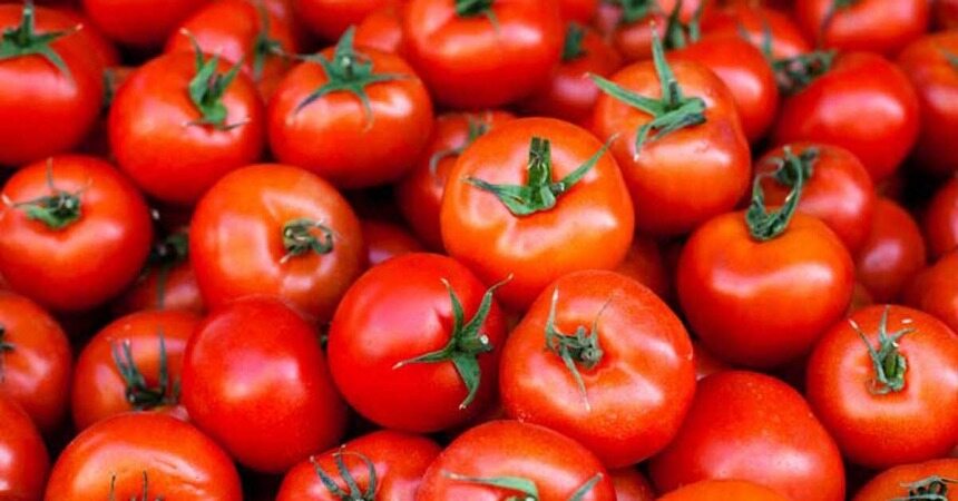 7 ویژگی باورنکردنی گوجه فرنگی که شما را متعجب خواهد کرد
