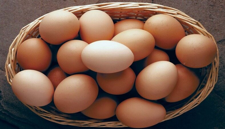 تخم مرغ ها بهترین دوست سلامت قلب شما هستند