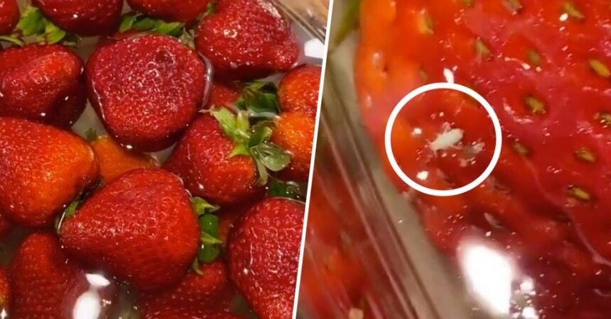 حتما قبل از خوردن توت فرنگی آن را در آب نمک خیس کنید