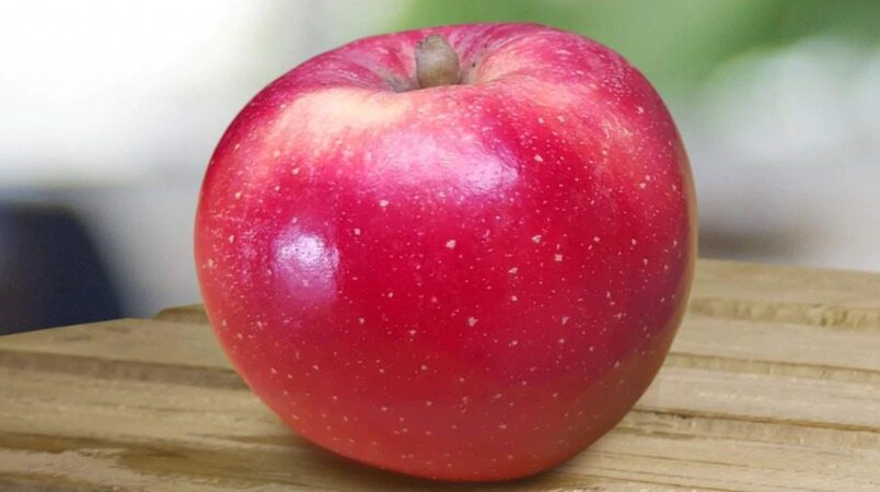 پیش از خوردن سیب باید آن را این گونه ضدعفونی کنید