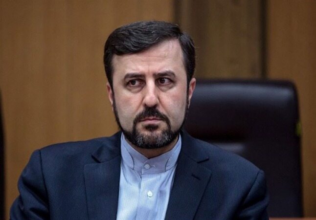 غریب آبادی: ایران الزامی برای انجام درخواست آژانس ندارد