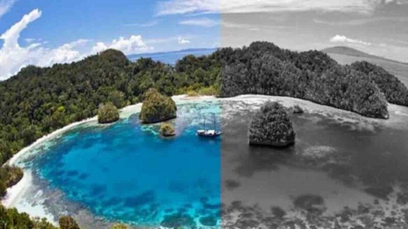 جزیره عجیبی که ساکنانش همه چیز را سیاه و سفید می بینند! + تصاویر