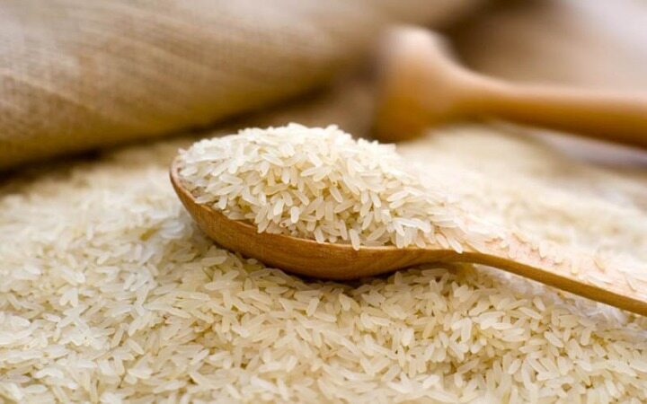 واردات برنج ممنوع  شد
