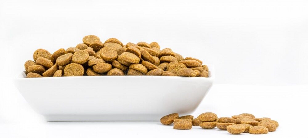 غذای عجیب پولدارترین زن خسیس جهان چیست؟