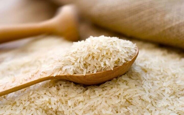 واردات برنج خارجی تاثیری بر قیمت برنج ایرانی ندارد