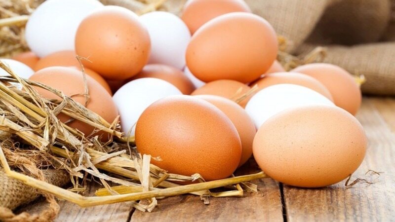 ترفندی برای شناسایی و تشخیص تخم مرغ فاسد