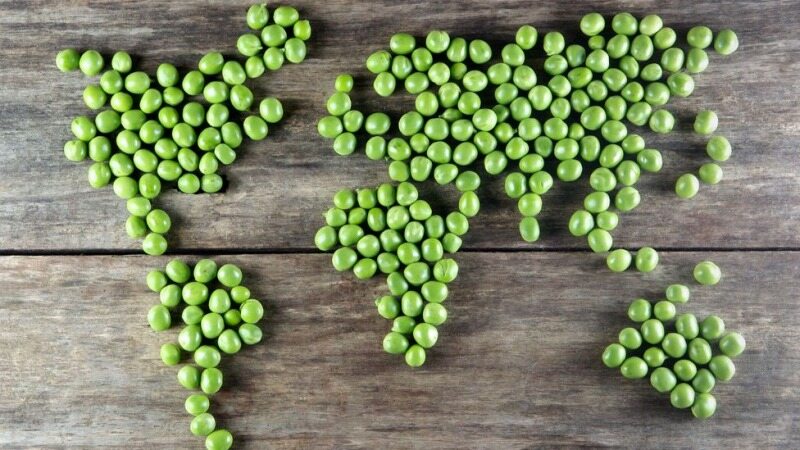 به مناسبت روز جهانی گیاهخواری، آیا هرگز گیاهخوار خواهید شد؟