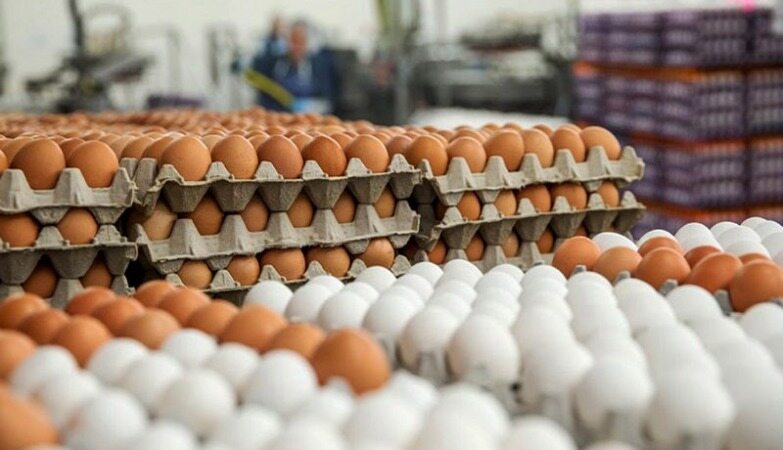 برای ایجاد آرامش در بازار تخم مرغ در تلاش هستیم
