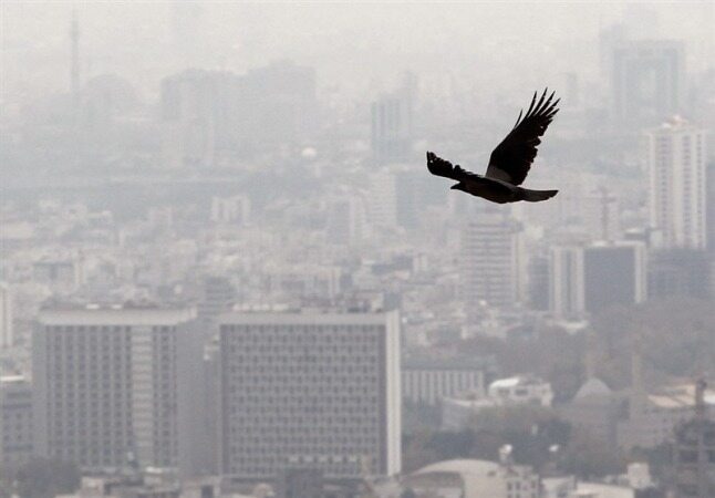 هشدار هواشناسی نسبت به تداوم آلودگی هوای ۶ کلانشهر