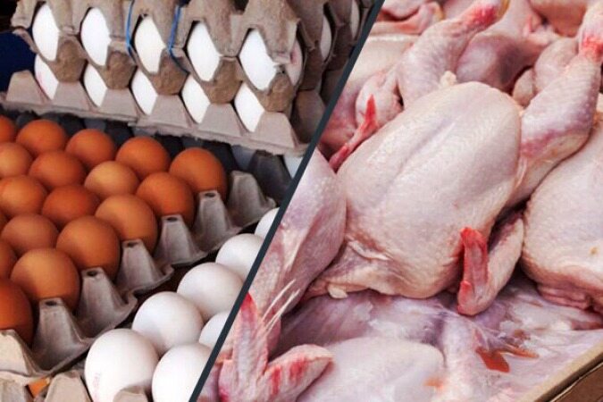 خبری خوب برای بازار مرغ و تخم‌مرغ 