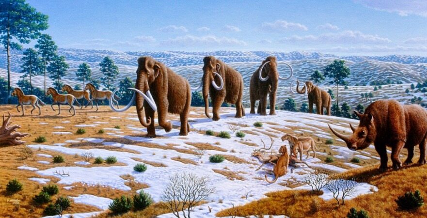 بزرگترین کشف عصر یخبندان در بریتانیا: ماموت های 200 هزار ساله پیدا شد