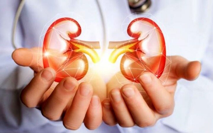با انجام این ۳ کار کلیه‌هایتان را بیمه کنید
