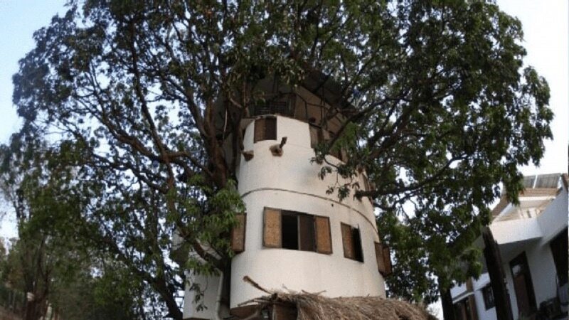 ساخت خانه روی درخت 