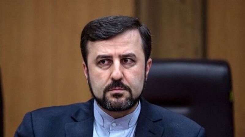 غریب آبادی: فریبا عادلخواه به زندان برگردانده شده است