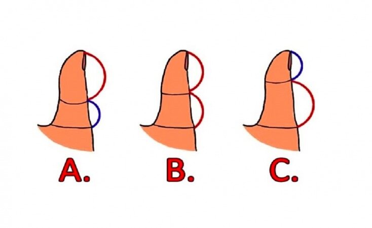 اندازه انگشت شست