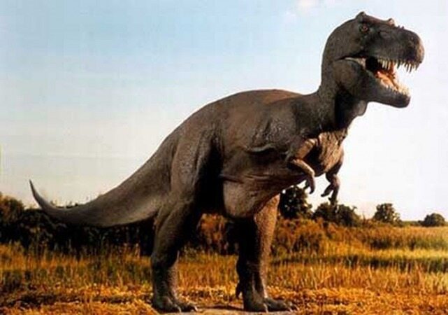 کشف اولین دایناسور مبتلا به عفونت تنفسی!