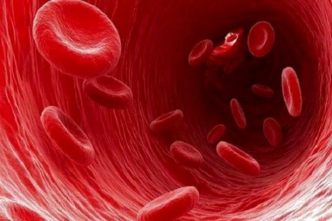راه کار‌های طبیعی برای درمان کم خونی