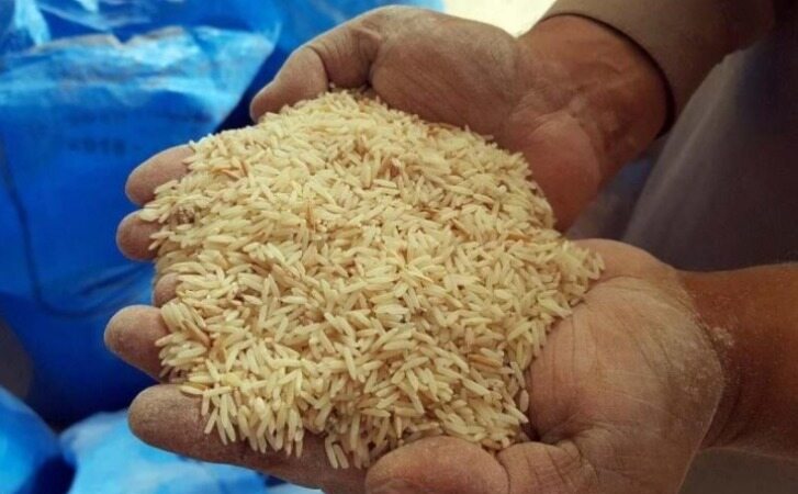 تکذیب توزیع برنج‌های تاریخ مصرف گذشته