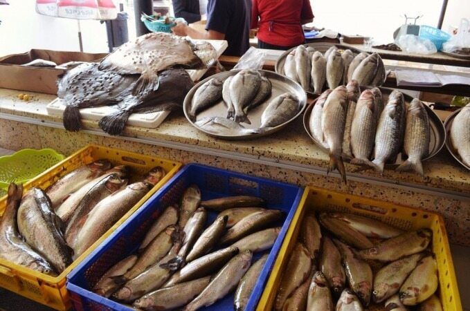  نوسان ۵۰ تا ۱۰۰ درصدی قیمت ماهی در بازار 