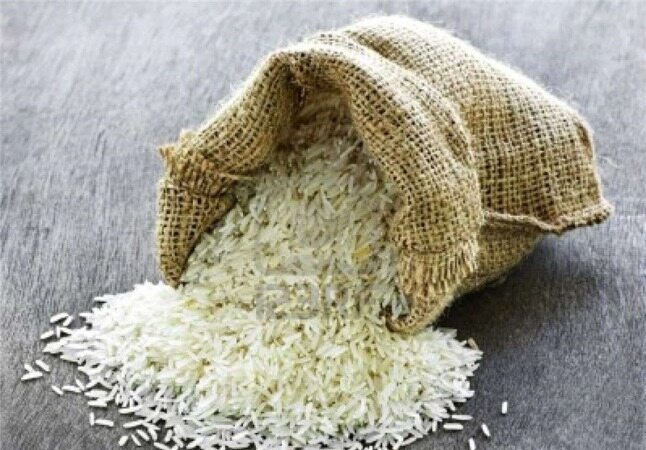 برنج در برخی کشورها خوراک دام شد
