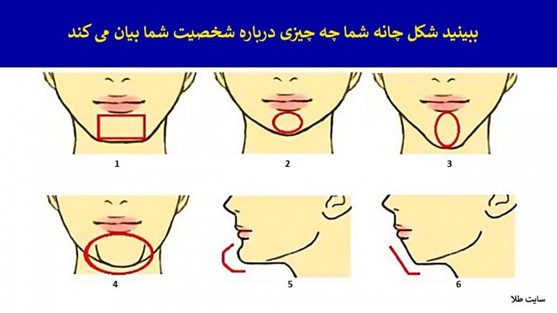 تست شخصیت شناسی عکسی