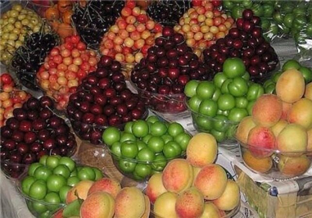 خبری مهم درباره قیمت میوه 