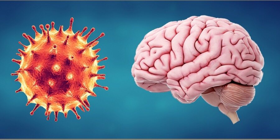 اثرات پاندمی کووید۱۹ بر مغز