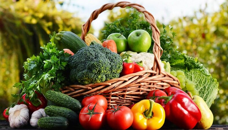  دلیل اصلی افزایش قیمت صیفی جات اعلام شد