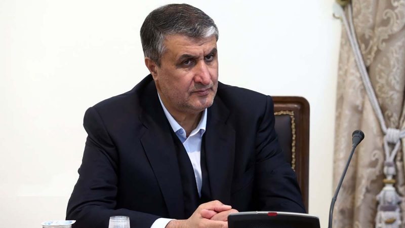 اسلامی: جزو پنج کشور اول در تولید کیت غربالگری نوزادان هستیم