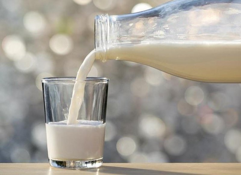 خرید شیر دامداران به قیمت جدید