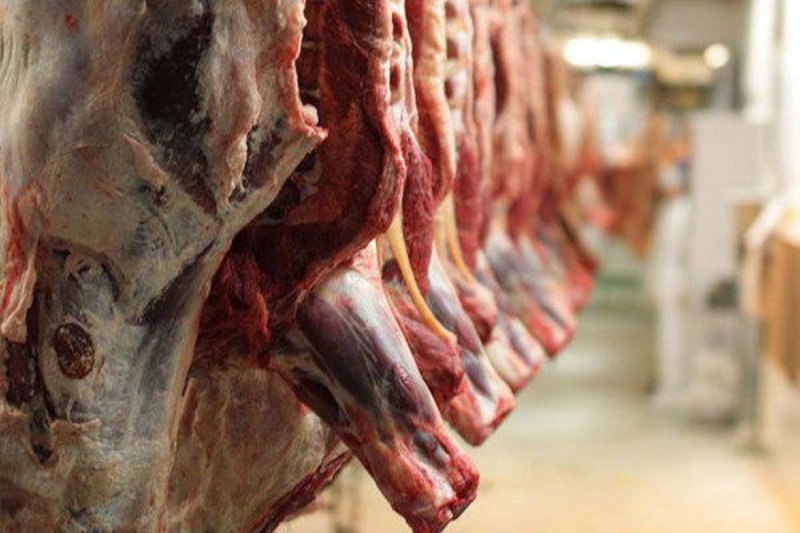 درخواست اتحادیه دامداران درباره عرضه گوشت قرمز 